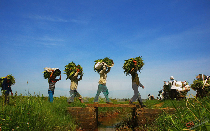 Tin Tức Đó Đây